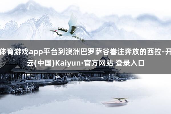 体育游戏app平台到澳洲巴罗萨谷眷注奔放的西拉-开云(中国)